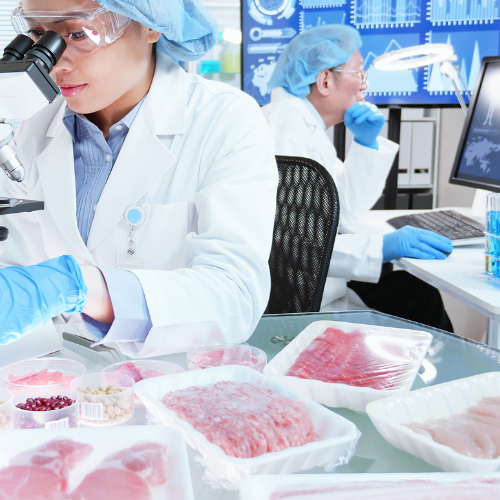 Sector Alimentario